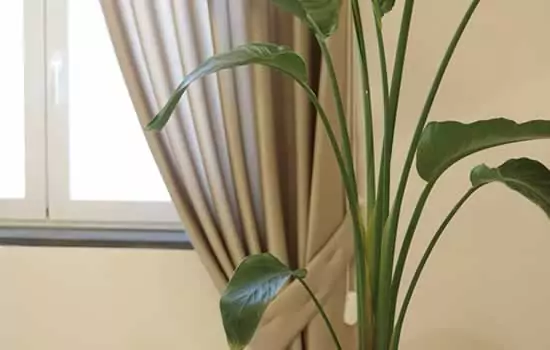 Fiore per decorazione lapide e cimitero